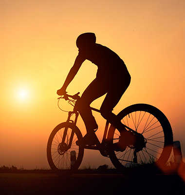 branża sportowa branża sportowa